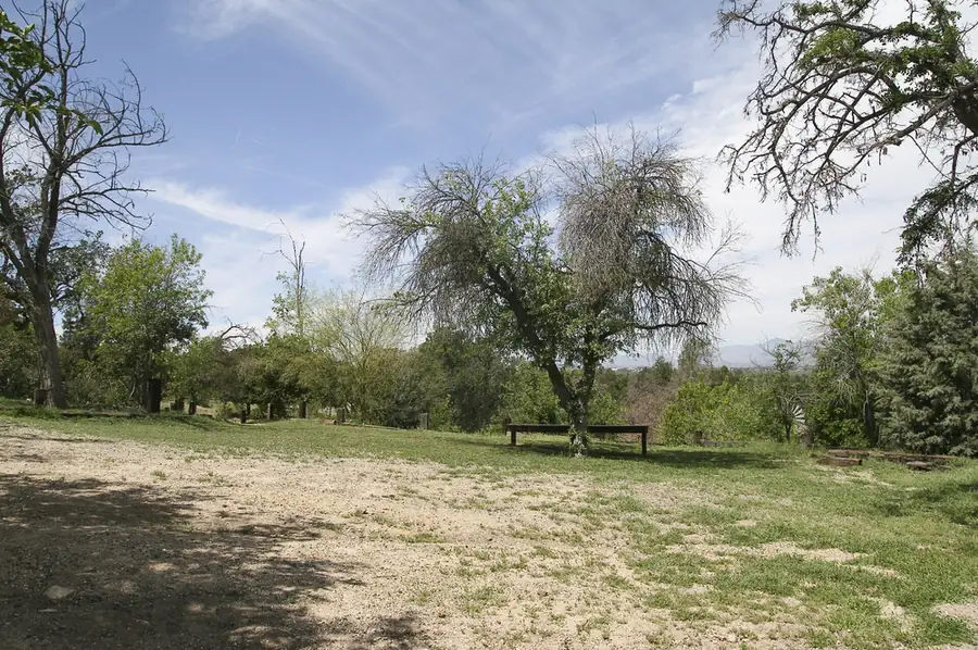 Shaded picnic lawn with a bench under old trees