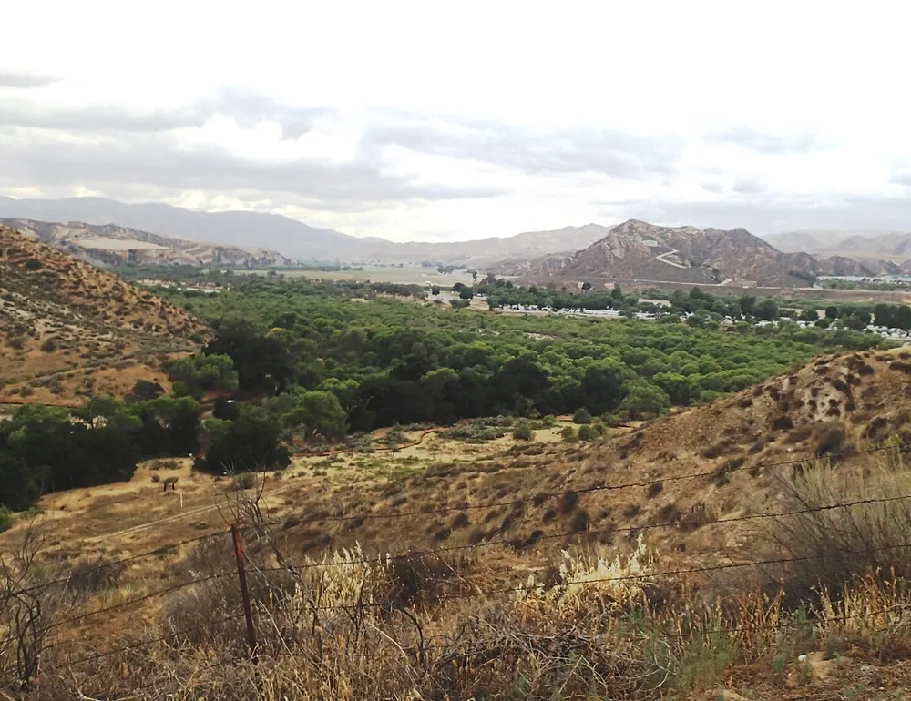 Wide river valley with green riverside trees below dry hills