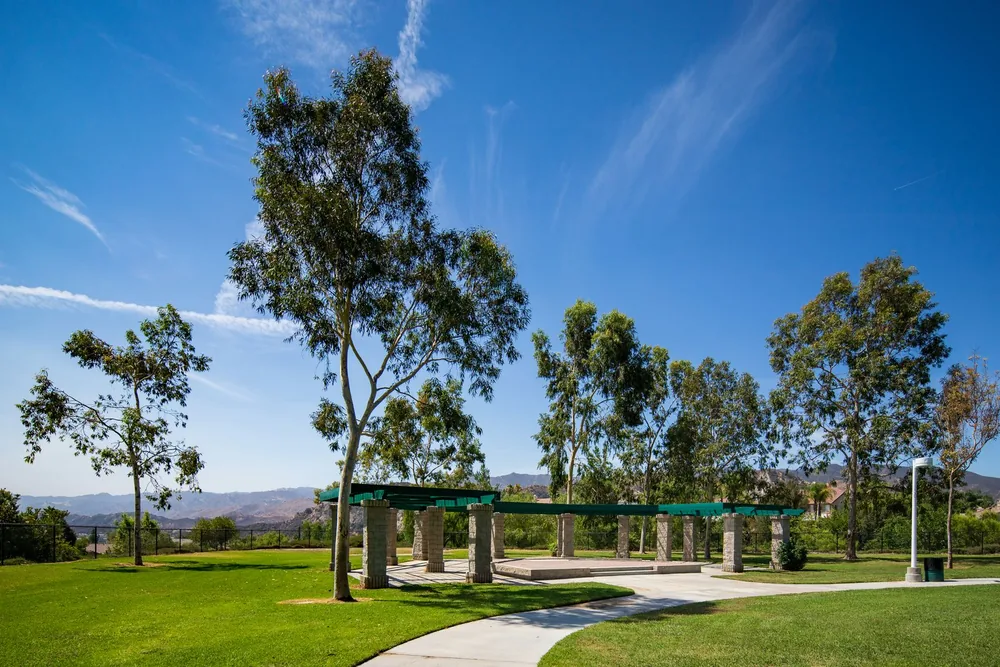 Park lawn under tall trees